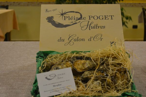 OSTRICA LA GALON D'OR POGET - Marennes Oleron
