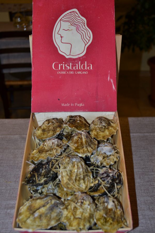 OSTRICA CRISTALDA - Gargano (Puglia)