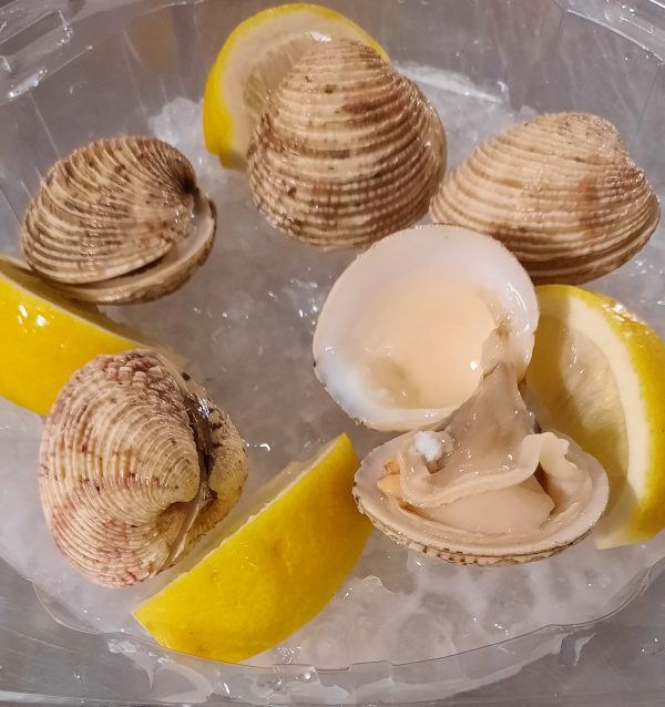 TARTUFI DI MARE (l'uno)